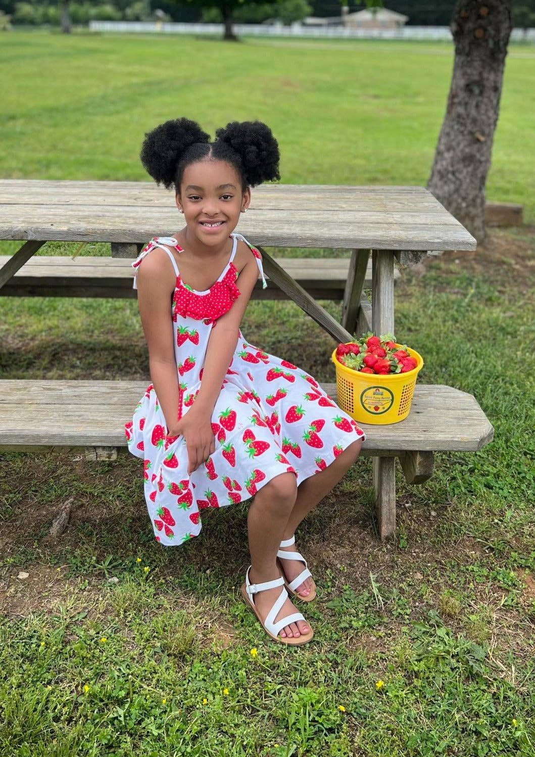 Strawberry Dress
